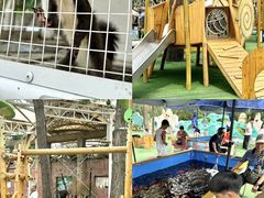 -南戴河国际娱乐中心