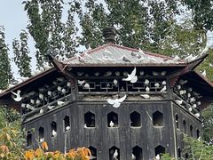 -南山公园