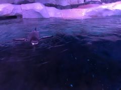 -暹罗海洋世界