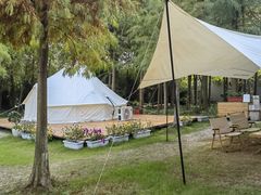 -上海海湾国家森林公园