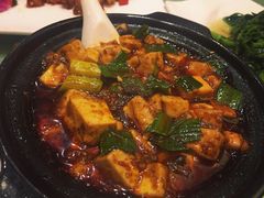 -陈麻婆豆腐总店