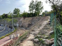 -大锅强·蒸海鲜青岛菜(吾悦广场店)