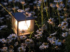 -江苏省苏州实验中学