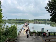 -溱湖国家湿地公园