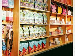 -猫十亿·布偶金渐层·曼基康矮脚猫舍(青年路店)