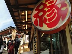 -有栖山 清光院 清水寺