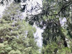 -天坛公园