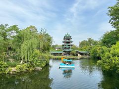 -桂湖森林公园