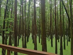-咬不得高祖生煎·简餐(天城商业中心店)