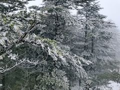 -峨眉山风景名胜区