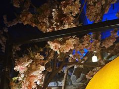 -淀里船宴(卓达店)