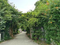 -嘉北郊野公园