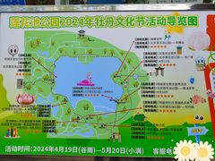 -莲花池公园