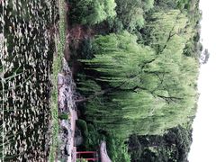 -香山公园
