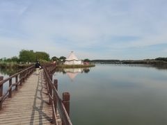 -西青郊野公园