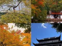 -阳澄湖半岛旅游度假区