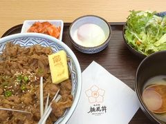 -桃花丼烧肉饭(凯丹商场店)