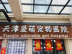 -美联众合宠物医院·爱萌分院·内外科·猫科中心