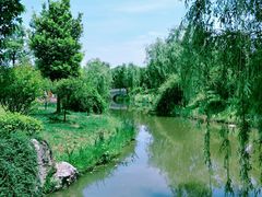 -鹅湖玫瑰文化园