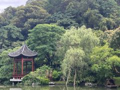 -云溪植物园