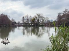 -海珠湖公园