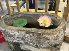 -味力源·肥肠爱上鱼(红牌楼金冠好店)