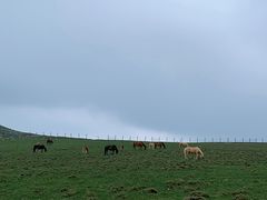 -芦芽山旅游度假区