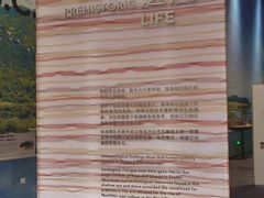 -珠海市博物馆