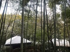 -天目湖御水温泉·度假酒店