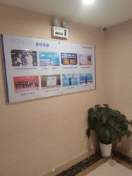 -碧莲盛·不剃发植发