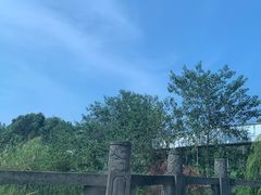 -马帮寨院坝火锅(龙港公园店)