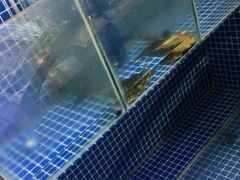 -临街徽菜馆·正宗黄山味