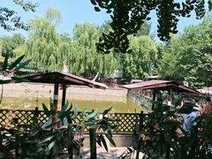 -尚庄度假村·庭台树下·户外烧烤·团建CS·轰趴营地(上庄水库店)