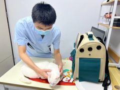 -立德24H动物医院·夜诊·转诊中心·1.5T核磁共振(海珠店)