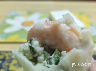 #随手拍 #货真价实的虾仁饺子 #春天随手拍