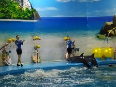 -尼莫海豚馆