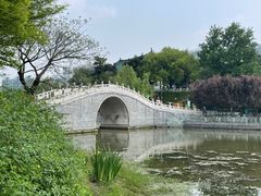 -月湖风景区