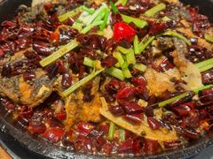 -老板恋上鱼(恒隆广场店)