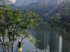 -重庆彩云湖湿地公园