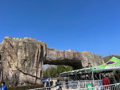 -合肥野生动物园