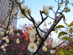 -山东大学(趵突泉校区)