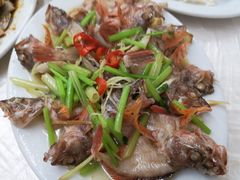 -老三鱼仔店