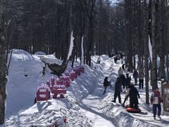 -洛阳白云山景区