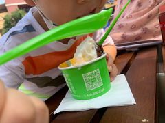 -Salud撒露欧洲冻酸奶(蓝色港湾店)