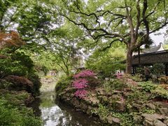 -上海醉白池公园