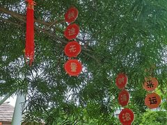 -史努比缤纷世界