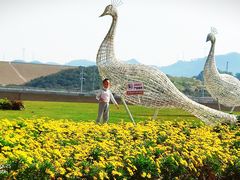 -光明小镇欢乐田园