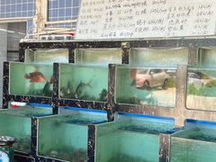 -众味海鲜大排档·活海鲜·潮汕味(南澳店)