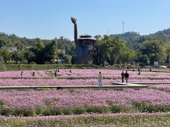 -红山村