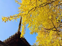 -西园戒幢律寺